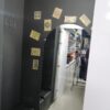 30 متری ققنوس
