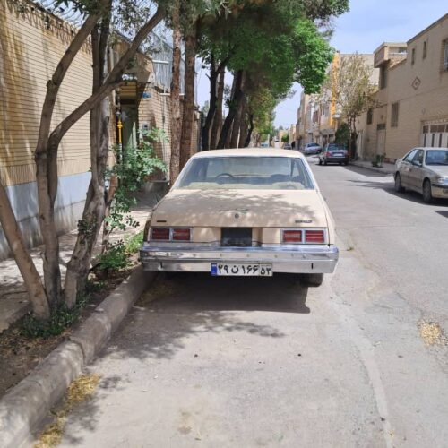 شورولت نوا سالم