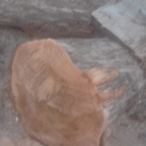 چوب فروشی
