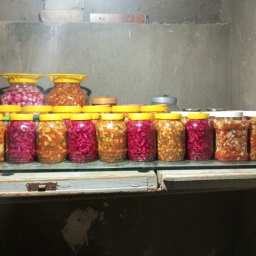 انواع واقسام ترشی