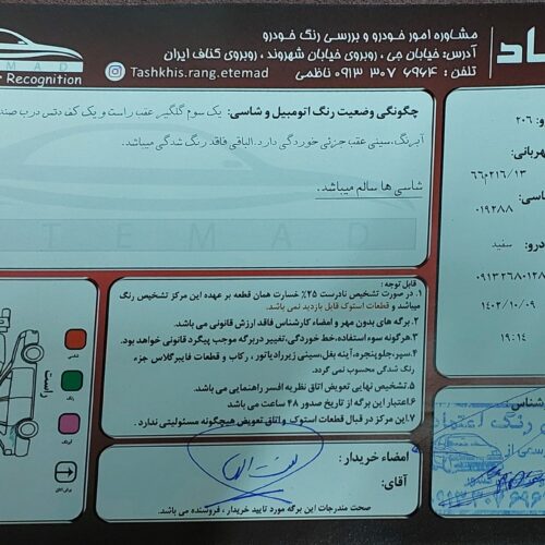 پژو 206SD کم کار v8