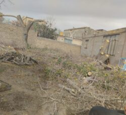 خرید انواع چوب سقفی