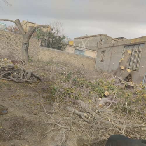 خرید انواع چوب سقفی