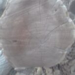 چوب فروشی