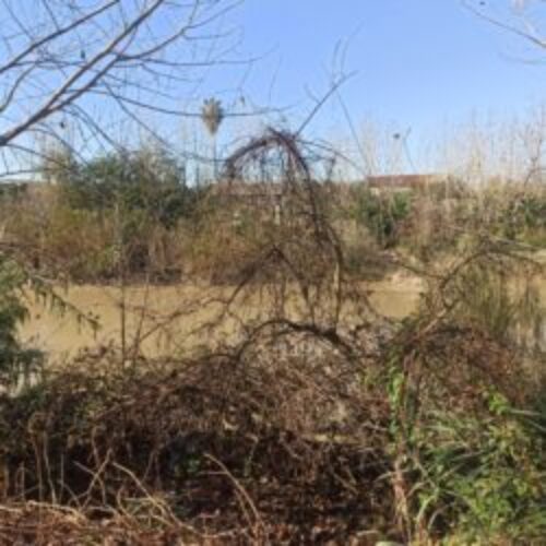 فروش خانه باغ