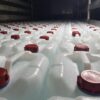 آب مقطر فله ای و بسته بندی نابت