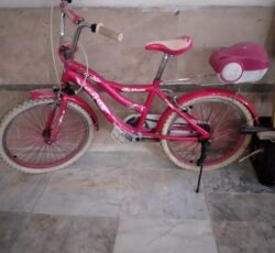 دوچرخه کورسی. و دوچرخه دخترانه در حد نو