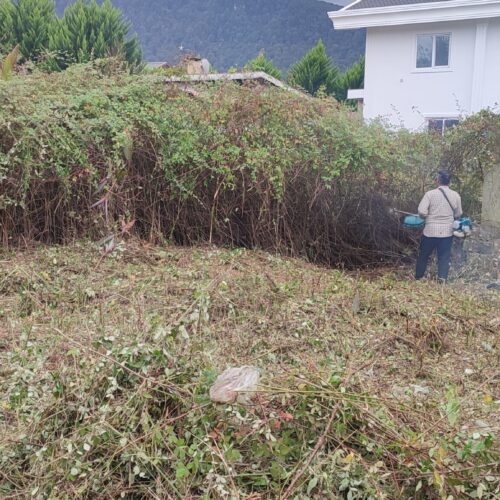 انجام خدمات علفتراشی،قطع درختان،هرس