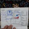 سگ اشپیدز دورگه