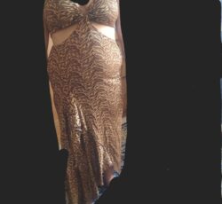 لباس مجلسی دوتیکه سایز40 42