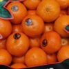 میوه خورده و عمده