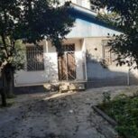 نیازمند به همخونه