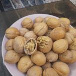 گردو شیلی شسته 65درصدی
