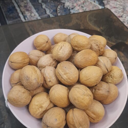 گردو شیلی شسته 65درصدی
