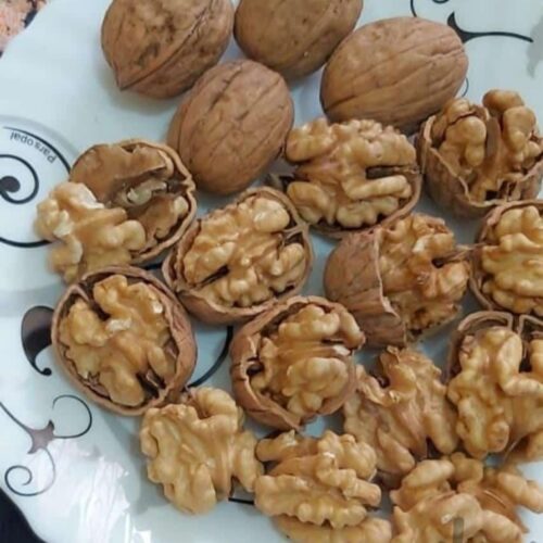 گردو شیلی شسته 65درصدی