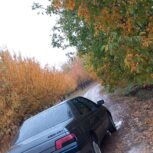 پژو 405 دوگانه شرکت