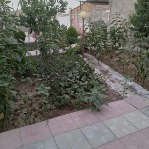 باغ ویلا شیک ودلباز با استخر