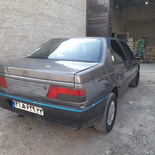 پژو روا دوگانه