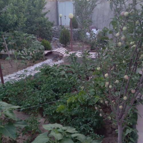 باغ ویلا شیک ودلباز با استخر