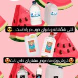 آب مقطر دیونیزه برند نابت