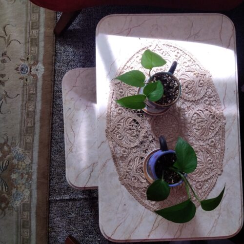 فرش پشمباف کاشان،ماشینی