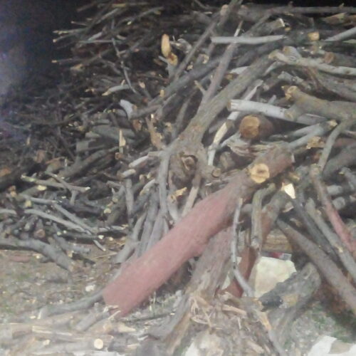 انواع چوب میوه برای زغال موجود است