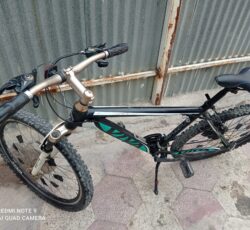 دوچرخه ویوا 26