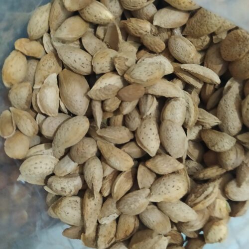 بادام پوست کاغذی