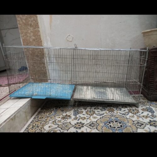 قفس قناری وسهره