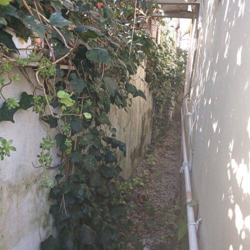 چالوس، کلارآباد، 210 متر سند تک برگ ورودی اختصاصی