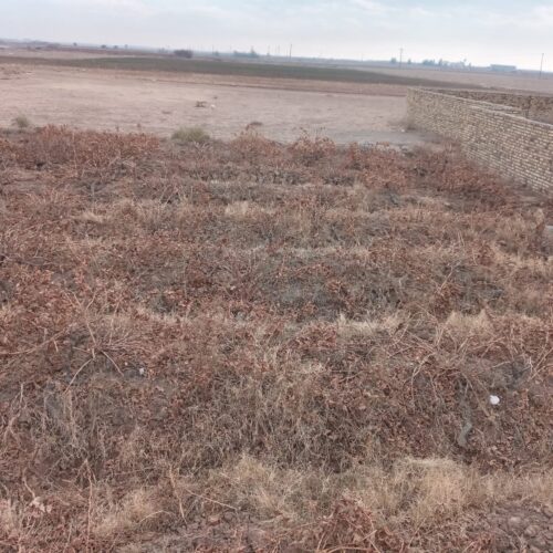 فروش .خونه ویلایی و باغ روستا