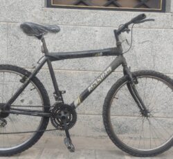 دوچرخه ماکسیما 26