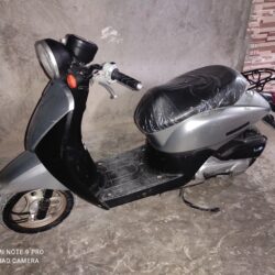 پاکشتی هوندا