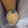 کپسولcng