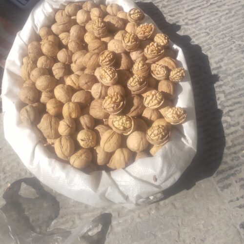 انجیر و گردو درجه 1