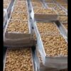 انجیر و گردو درجه 1