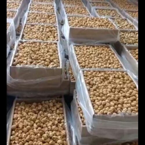 انجیر و گردو درجه 1