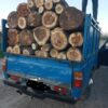 هرنوع درخت ترو خشک خریداریم