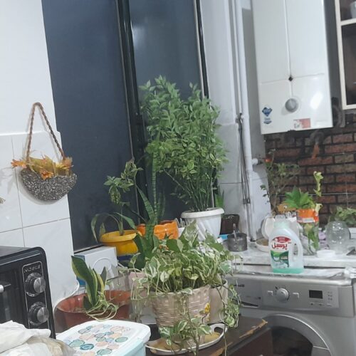 آپارتمان طبقه اول