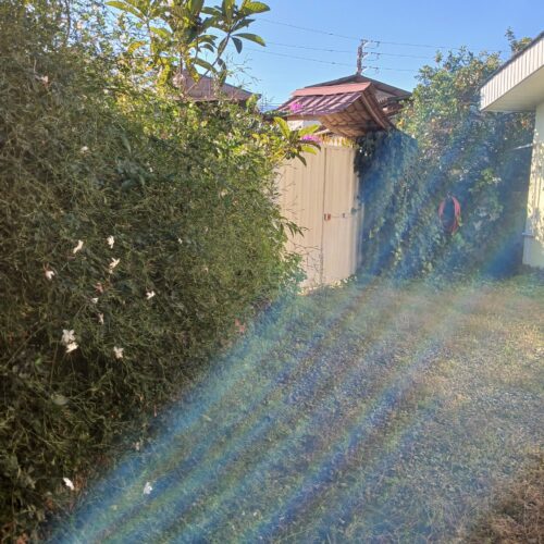 چالوس، کلارآباد، 210 متر سند تک برگ ورودی اختصاصی