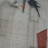 مرغ عشق بدون قفس