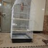 قفس سالم وتمیز