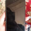 Galaxy A03s 64گیگابایت