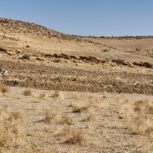 باغ شهری 1000متری سیخ