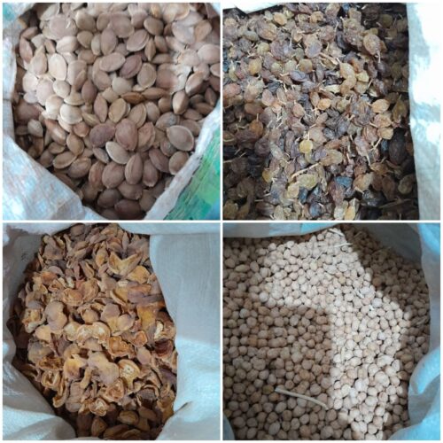 برگ زردآلو ونخود وکشمش وتخم زردآلو و بادم تلخ