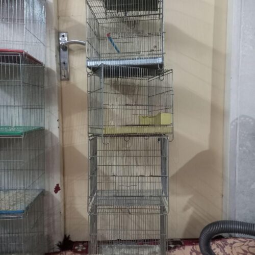 قفس قناری وسهره