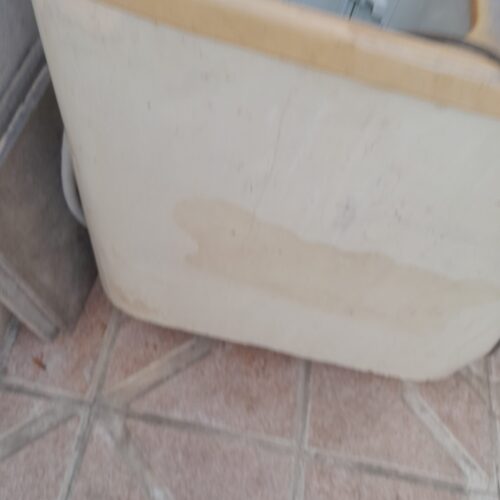 دوقلو حایر کارکرده سالم