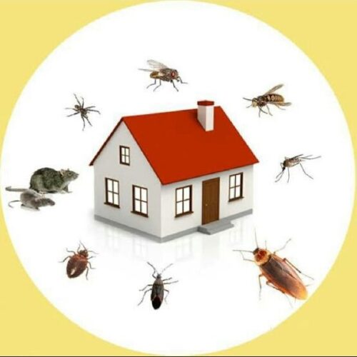 سمپاشی تخصصی منازل و فضای سبز