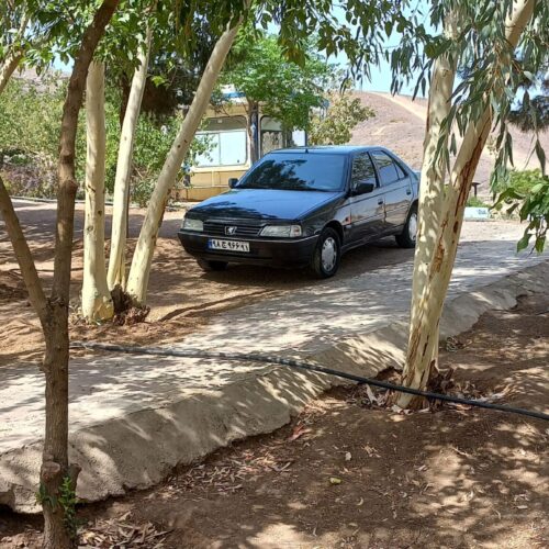 پژو405دوگانه کارخانه