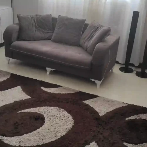 اجاره آپارتمان مبله روزانه